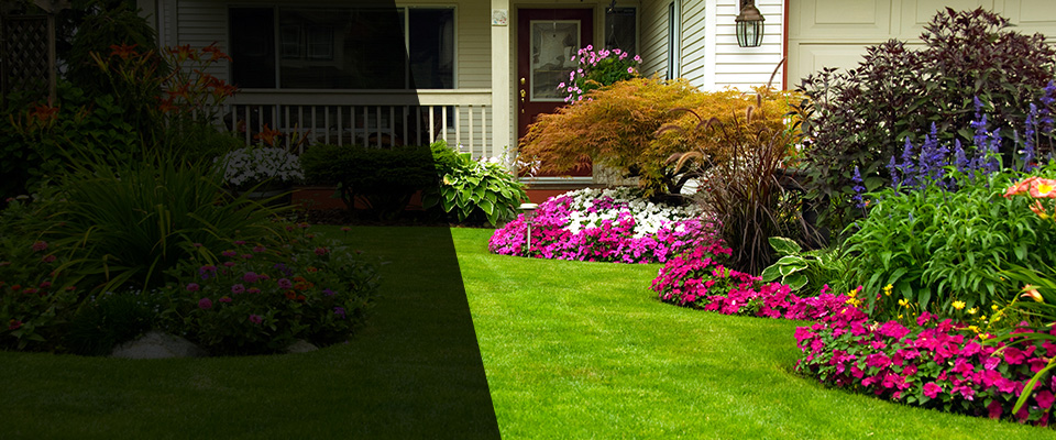 Colgate Landscapers